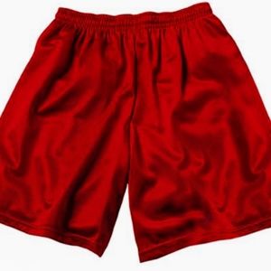 New! 100% Polyester MICRO Mesh Shorts (no pockets)